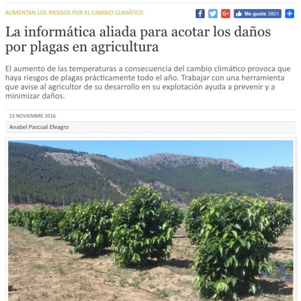 Agricultura 2000